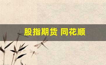 股指期货 同花顺(股指期货k线图怎么看懂)_https://www.xzdzcjx.com_北交所_第1张